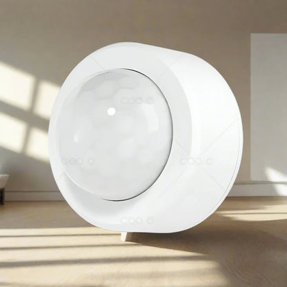 Mini PIR Motion Sensor