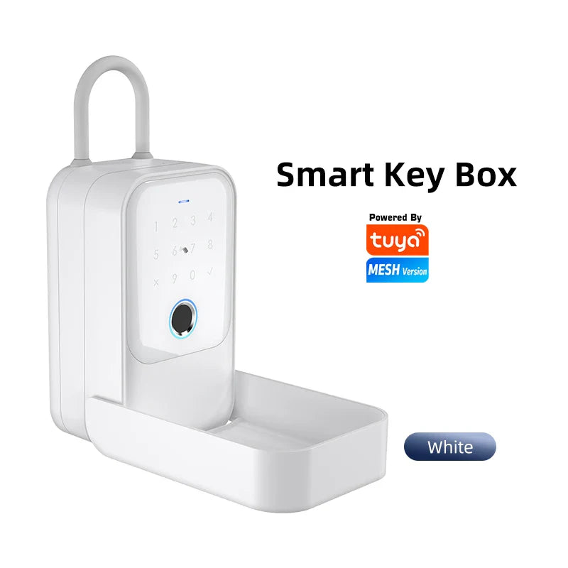 Wireless Electronic Key Safe