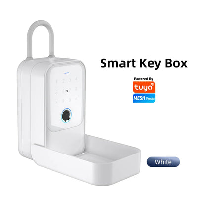 Wireless Electronic Key Safe