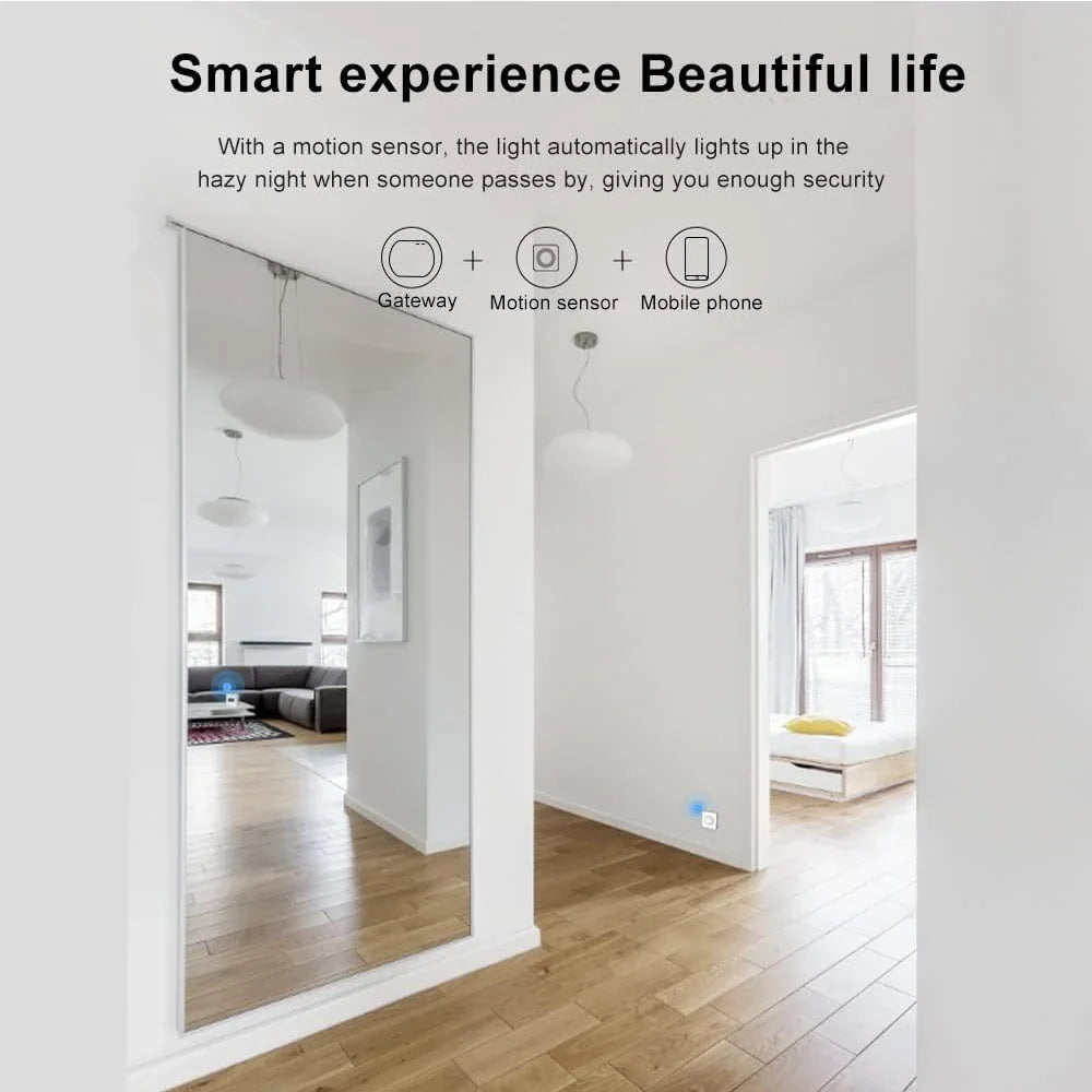 Mini PIR Motion Sensor