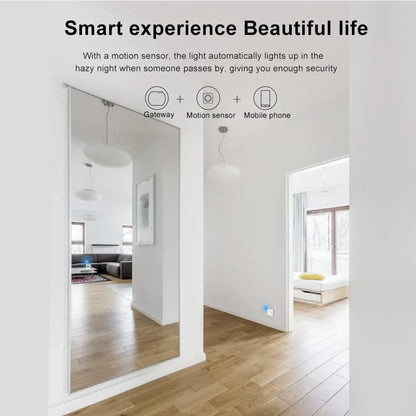 Mini PIR Motion Sensor