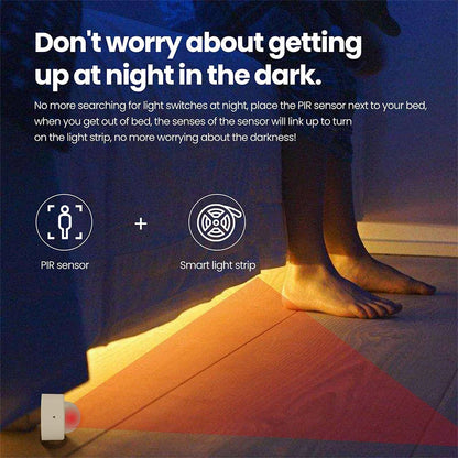 Mini PIR Motion Sensor