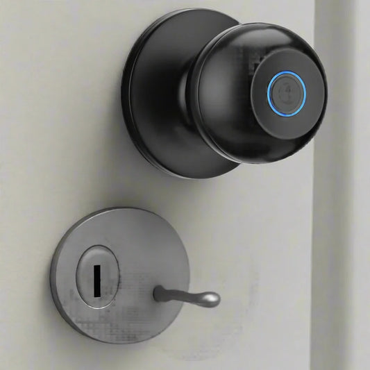 Aluminium Door Lock Smart Fingerprint