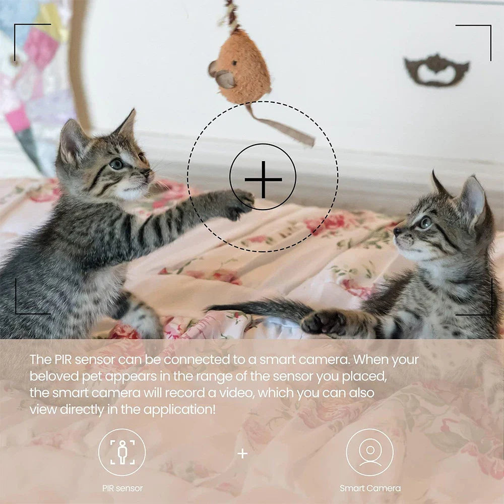 Mini PIR Motion Sensor